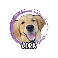 Golden Retriever Sticker by Asilo per cani Dog'sMind