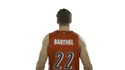 bayern munich basketball Sticker by EuroLeague