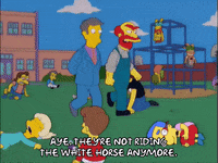 episode 8 principle skinner GIF