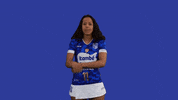 Volleyball Mtcvolei GIF by Minas Tênis Clube