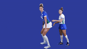 Volleyball Mtcvolei GIF by Minas Tênis Clube