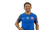 Football Celebration Sticker by Slovensky futbalovy zvaz