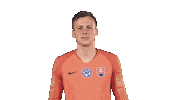 Slovakia Rody Sticker by Slovensky futbalovy zvaz