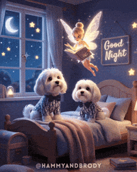 Good Night Dog GIF by HammyandBrody