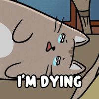 Laughing Hard Over It GIF by MESA My Emotional Support Animal