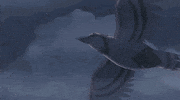 5 Centimeters Per Second Japan GIF by All The Anime — Anime Limited
