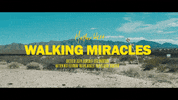 GIF by Matthew West