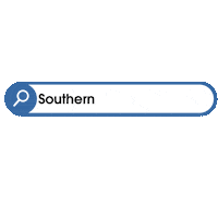 SouthernWesternBoutique shopping clothing clothes western Sticker