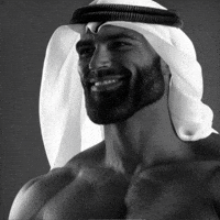 Dubai Sigma GIF by Gigachad