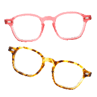 IOLLA brand glasses scotland eyewear Sticker