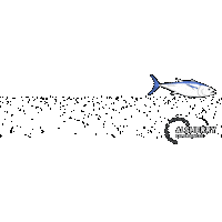 Fish Spain Sticker by Alsherry Experiences