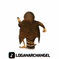 Logan Hawk GIF