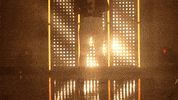 Florida State Softball GIF by NCAA Championships