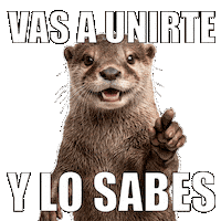 Nutria Sticker by ecoembes