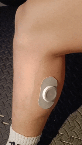 Prifezer giphyupload GIF