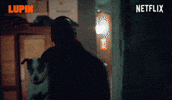 Accuse Part 1 GIF by NETFLIX