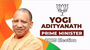 Yogi GIF