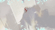 S06 GIF