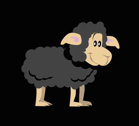 JMR75 giphyupload GIF