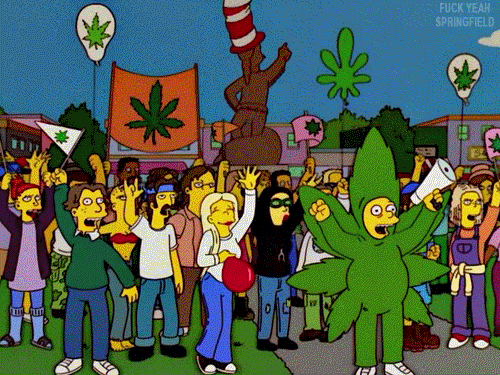 The Simpsons Weed GIF