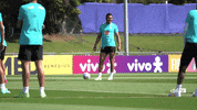 Selecao GIF by Confederação Brasileira de Futebol