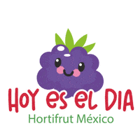 Berries Sticker by hortifrutMexico