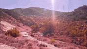 driving los angeles GIF