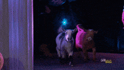 Lilly Singh Omg GIF by A Little Late With Lilly Singh