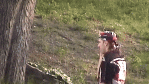 Vote GIF by Jerry Tremblay