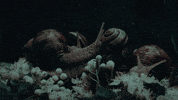samirawinter film rainbow space winter GIF
