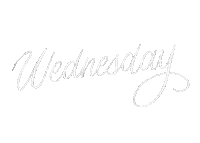 Day Week Sticker