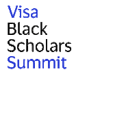 Summit Sticker by Visa