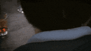 Leaving Tropico 6 GIF by El Presidente