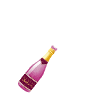 champagne bottle celebration Sticker by Frank & co.