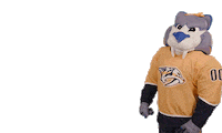 Ice Hockey Sticker by NHL