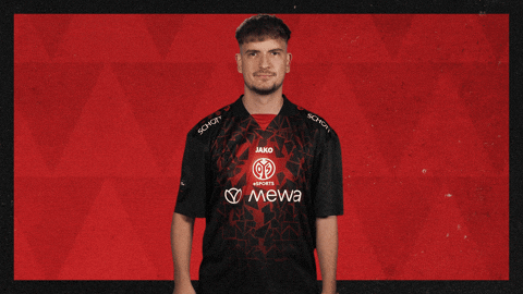 Mainz 05 Hello GIF by Bundesliga