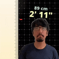 2' 11"