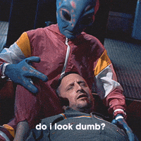 Do I Look Dumb?