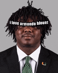 Miami Canes GIF
