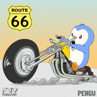 Road Trip Penguin GIF by Pudgy Penguins