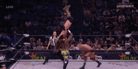 Jungle Boy Wrestling GIF by AEWonTV