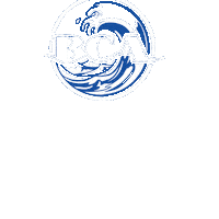 Cheerleading Sticker by Beach Cheer Athletics