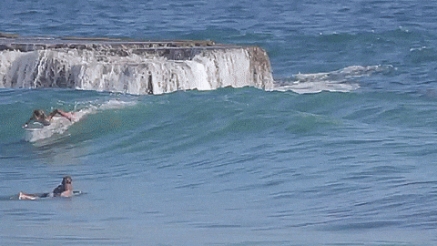 surf GIF