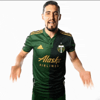 Portland Timbers Sport GIF by Timbers