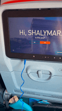 Travel Flying GIF