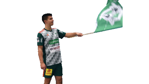 Sport Handball Sticker by DIE RECKEN