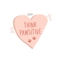 New Year Cat Sticker by Zoetis Petcare