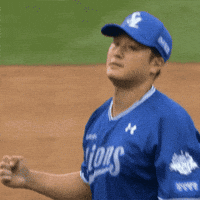 야구 GIF