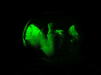 Tf GIF by Homixide Gang