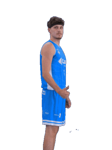 Cbsa Sticker by Basquet Sant Antoni